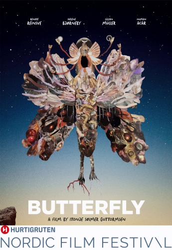 NOR26 Butterfly