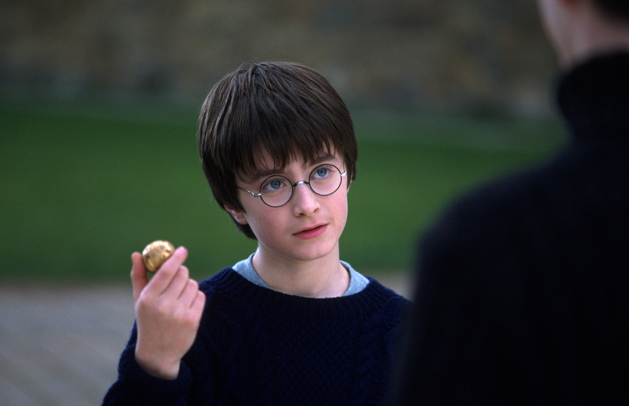 Harry Potter and the Philosopher's Stone (25th Ann