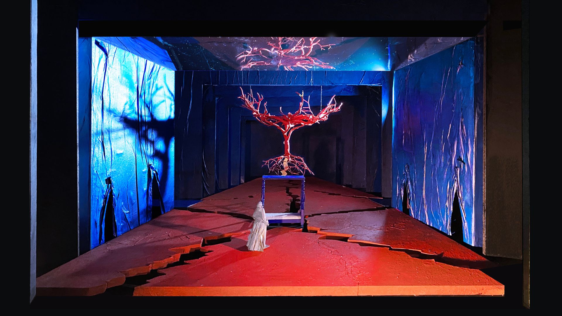 Met Opera: El Último Sueño de Frida y Diego