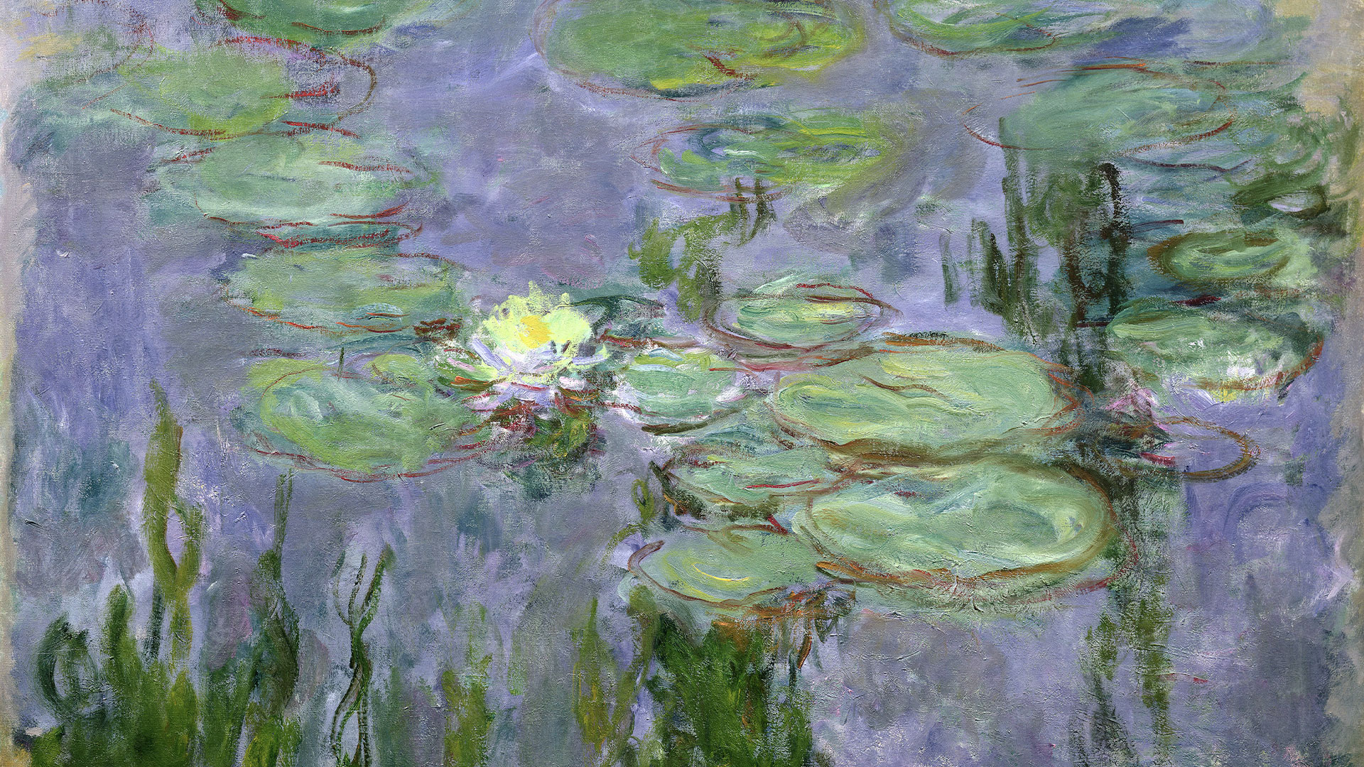 EXHIBITION ON SCREEN: Monet
