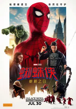 Spider-Man: Brand New Day [Chinese subtitles]